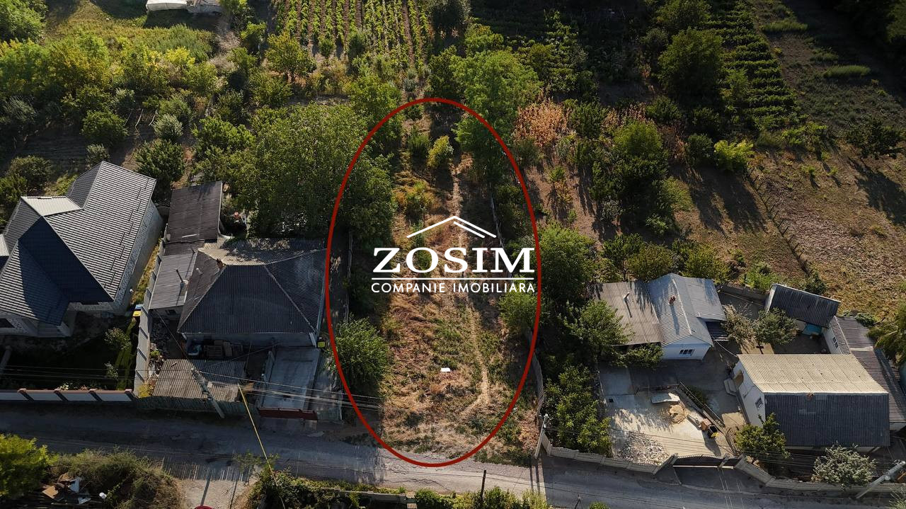 7 Ari | Langa Gradinita | Singera